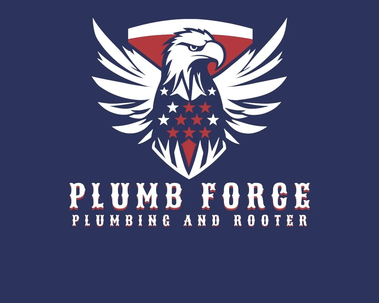 About Plumb Force