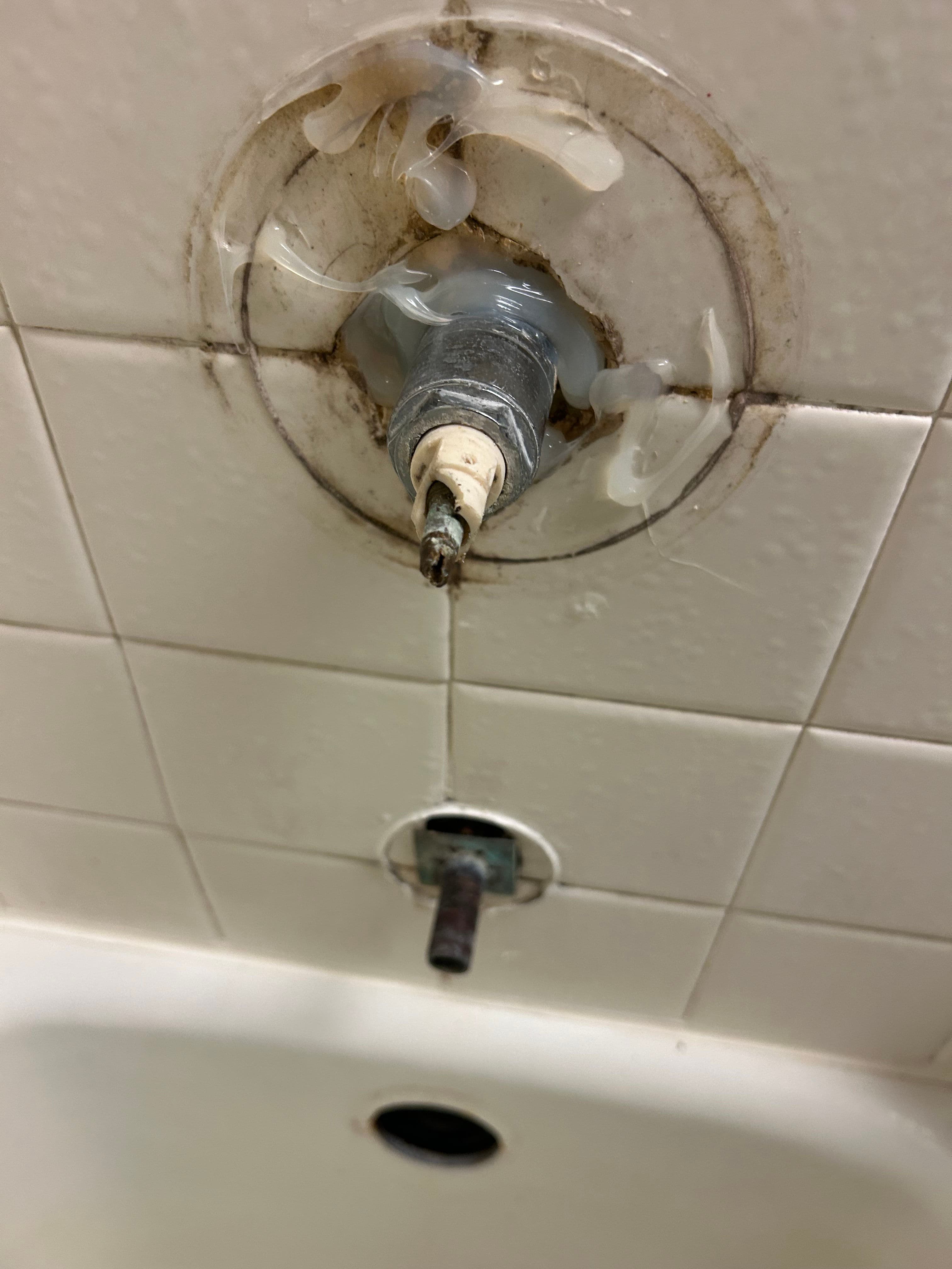 Project Worn Shower Cartridge Replaced for Full Tub/Shower Control image