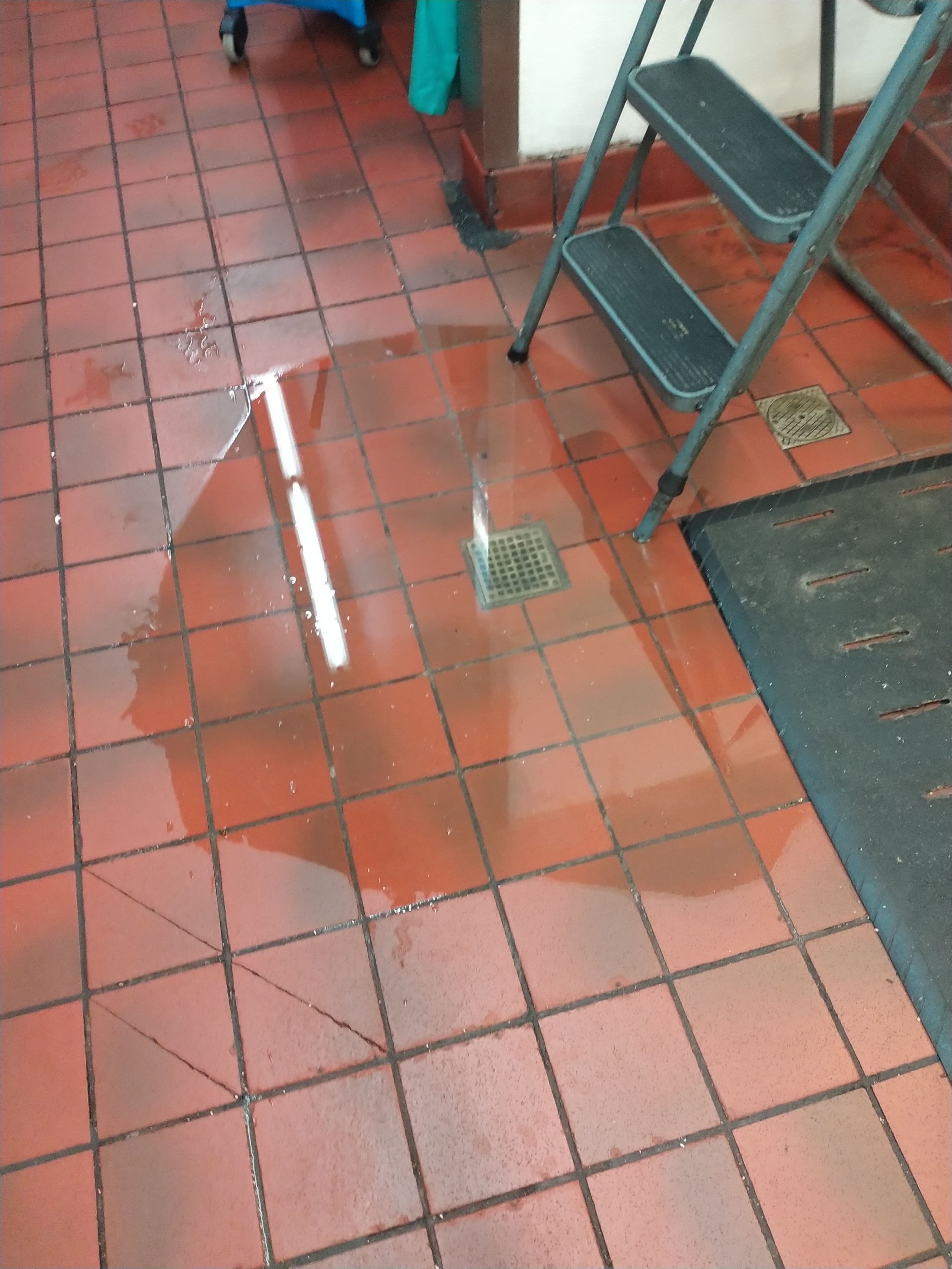 Project Clogged Commercial Floor Drain Cleared and Flowing Again image
