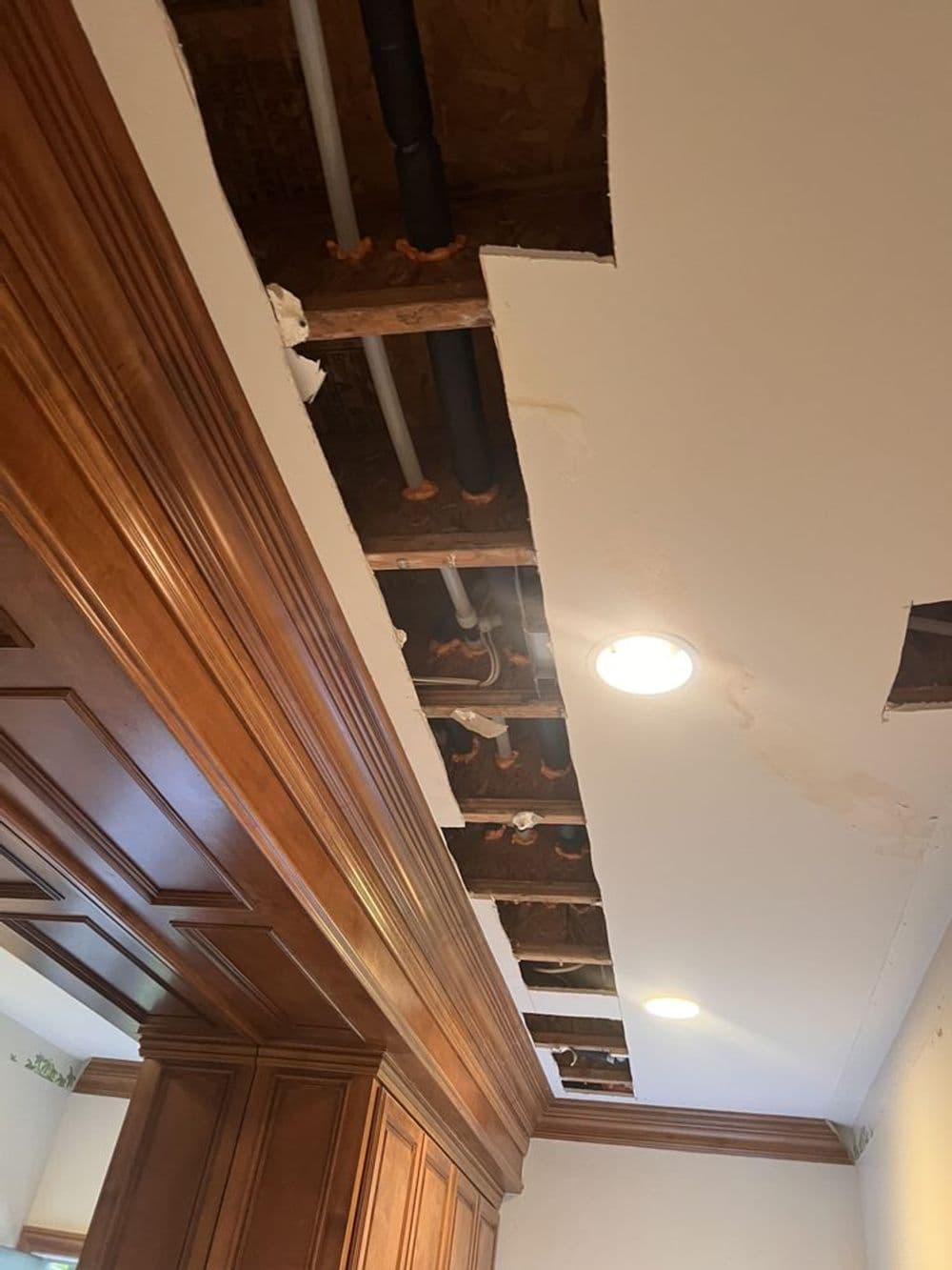 Exposed ceiling with pipes and lighting in a renovated kitchen space.
