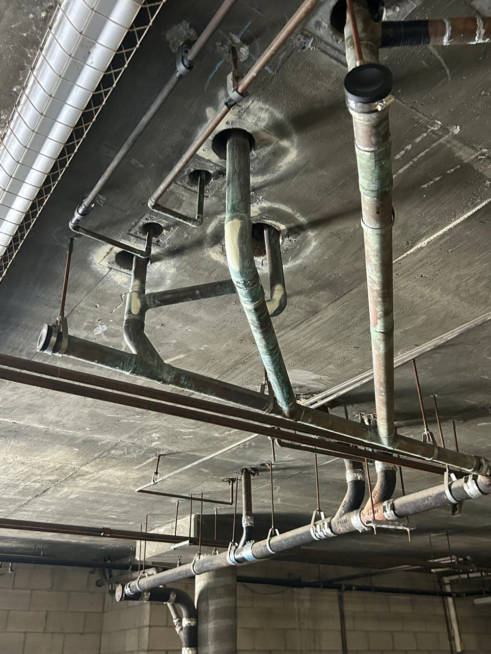 Industrial plumbing pipes and overhead conduits in a commercial building ceiling.